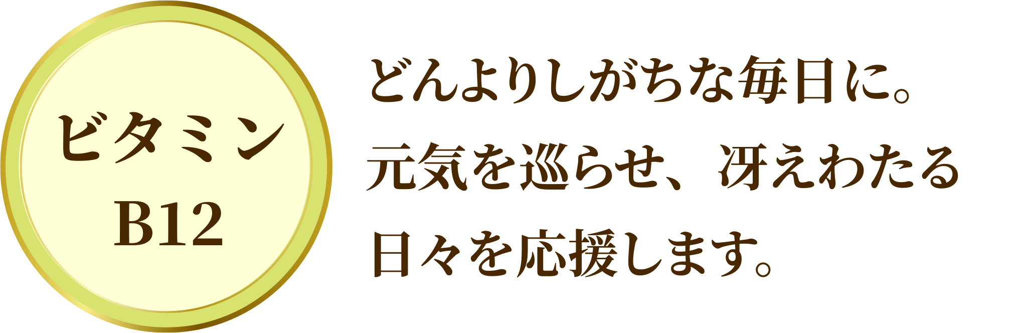 ビタミンB12：どんよりしがちな毎日に。元気を巡らせ、冴えわたる日々を応援します。