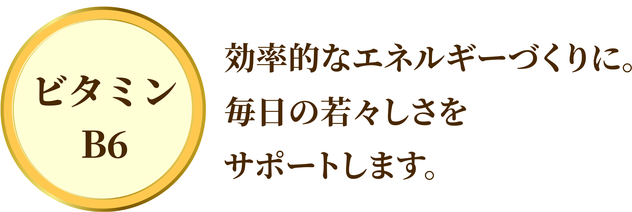 ビタミンB6：効率的なエネルギーづくりに。毎日の若々しさをサポートします。