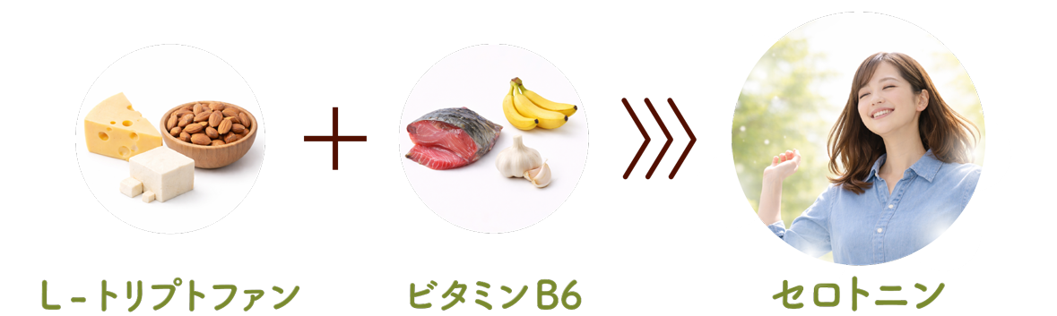 L-トリプトファン＋ビタミンB6＝セロトニン