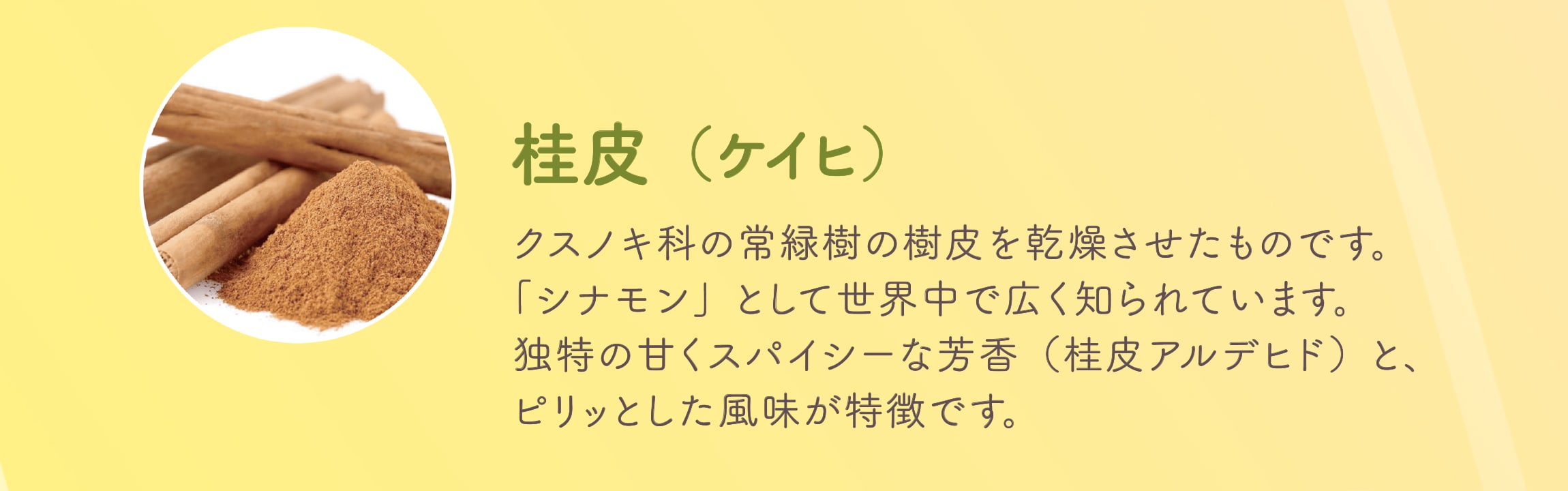 桂皮（ケイヒ）