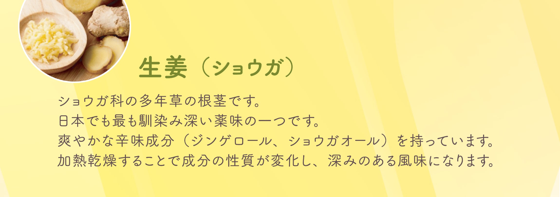 生姜（ショウガ）